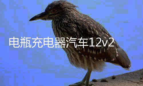 电瓶充电器汽车12v24v车用电池大功率纯铜通用型摩托蓄电池充电机下载