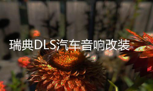 瑞典DLS汽车音响改装6.5寸套装喇叭进口发烧炸街低音喇叭功放主推下载