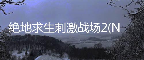 绝地求生刺激战场2(NEW STATE Mobile)下载