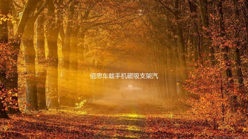 倍思车载手机磁吸支架汽车用粘贴式磁性导航强吸吸盘车内磁铁抖音下载