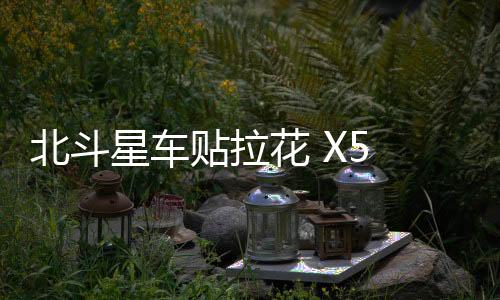 北斗星车贴拉花 X5 汽车改装雨燕拉花 铃木贴纸拉花SX4车身贴下载
