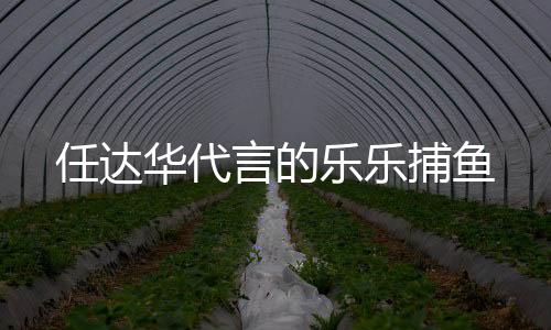 任达华代言的乐乐捕鱼下载
