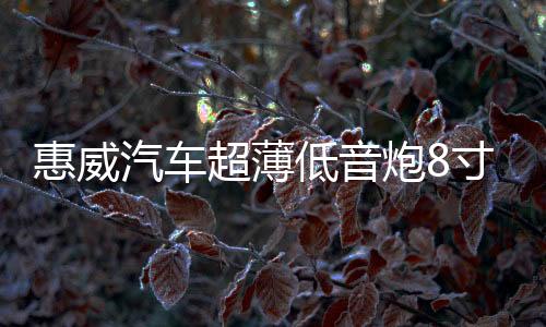 惠威汽车超薄低音炮8寸车载车用音响超重低音改装有源自带功放12V下载