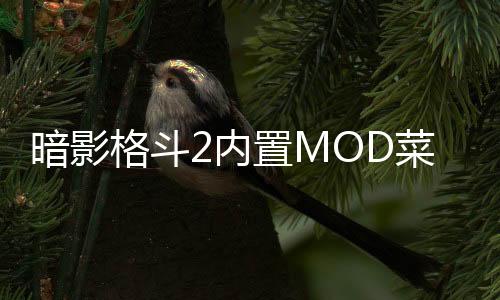 暗影格斗2内置MOD菜单破解版下载