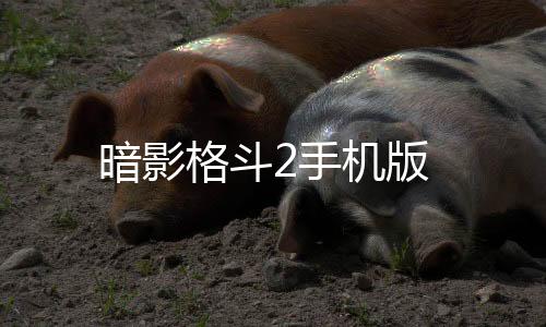 暗影格斗2手机版下载