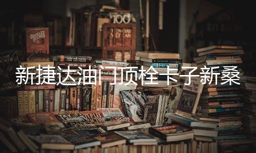 新捷达油门顶栓卡子新桑塔纳专用限位器爱丽舍教练车免拆油门垫子下载