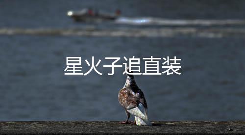 星火子追直装下载
