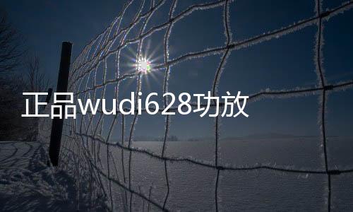 正品wudi628功放汽车音响改装四路功放4声道大功率放大器发烧级下载