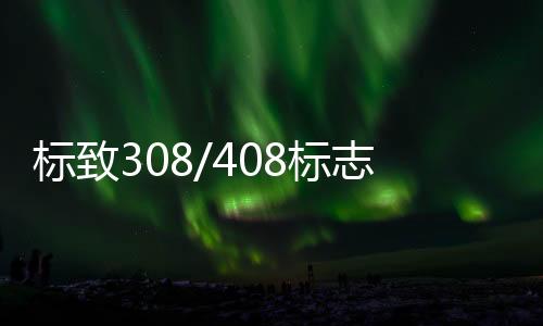 标致308/408标志2008/3008/307/301改装饰汽车配件门槛条迎宾踏板下载