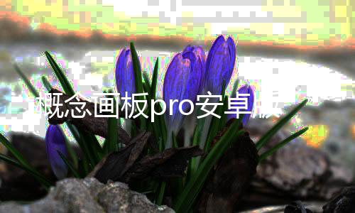 概念画板pro安卓版下载