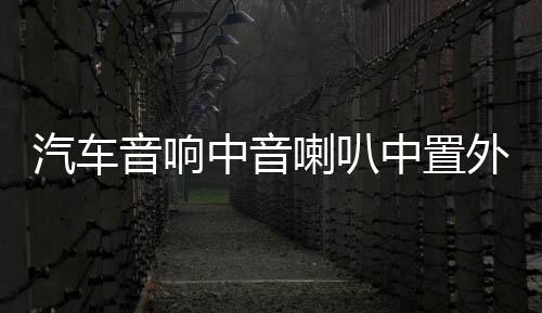 汽车音响中音喇叭中置外置家用环绕前后双喇叭2.5寸中音喇叭改装下载