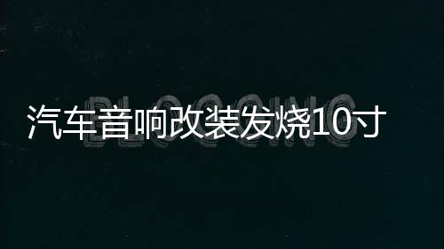 汽车音响改装发烧10寸12寸双磁双音圈超重低音车载无源低音炮喇叭下载