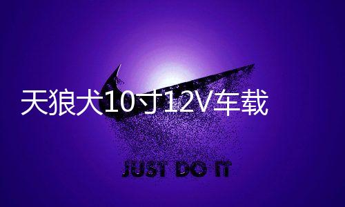 天狼犬10寸12V车载有源音响汽车低音炮超大功率蓝牙音箱功放喇叭下载
