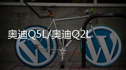 奥迪Q5L/奥迪Q2L汽车后备箱改装专用隔板装饰隔物板收纳配件储物下载