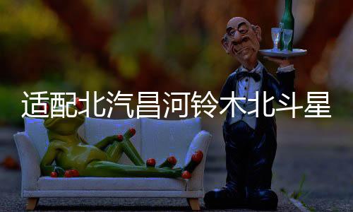 适配北汽昌河铃木北斗星X5福瑞达利亚纳A6原装45AH蓄电池汽车电瓶下载