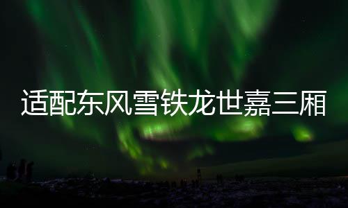 适配东风雪铁龙世嘉三厢 新款老款 高位刹车灯第三制动灯汽车配件下载