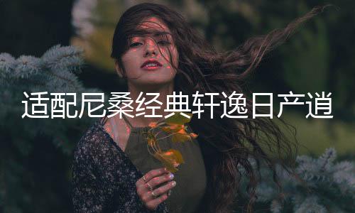 适配尼桑经典轩逸日产逍客新阳光骐达骊威原装电瓶风帆汽车蓄电池下载