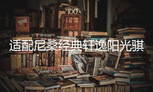 适配尼桑经典轩逸阳光骐达新蓝鸟1.6L原装55B24L电瓶瓦尔塔蓄电池下载