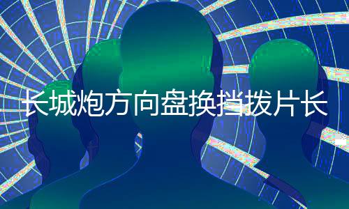 长城炮方向盘换挡拨片长城炮皮卡内饰装饰金属改装配件多色可选下载