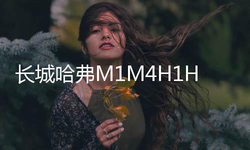 长城哈弗M1M4H1H2H5H6H7汽车同轴喇叭音响全频6.5寸改装重低音炮下载