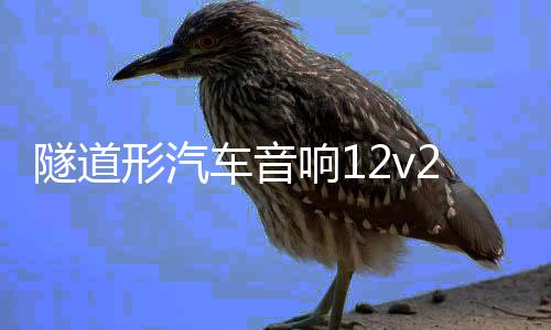 隧道形汽车音响12v24v车载蓝牙低音炮220V音箱重低音大功率改装下载
