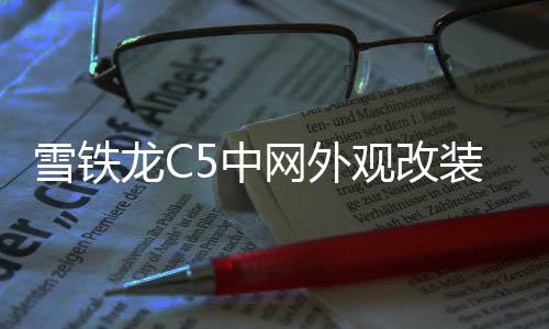 雪铁龙C5中网外观改装配件天逸c5 aircross前脸保险杠专用装饰条下载