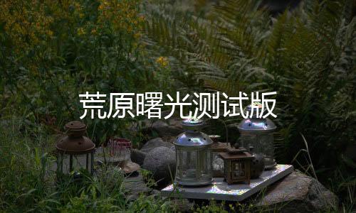 荒原曙光测试版下载