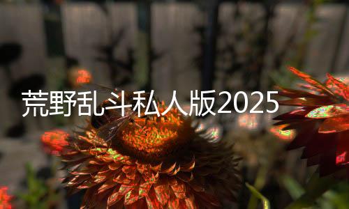 荒野乱斗私人版2025(Null’s Brawl)下载