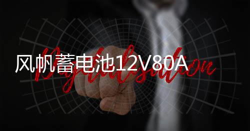 风帆蓄电池12V80AH柴油车叉车皮卡纳智捷大7五十铃汽车电瓶95D31R下载