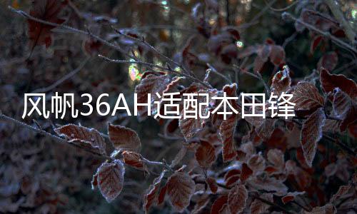 风帆36AH适配本田锋范/飞度/思迪/理念/铃木/锋范/奥拓汽车蓄电池下载