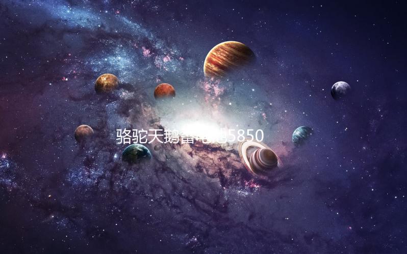 骆驼天鹅蓄电池58500免维护12V48AH五菱之光荣光原装汽车电瓶下载