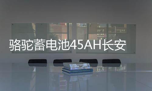 骆驼蓄电池45AH长安之星2/3东方小康K17/C37小面包车原装汽车电瓶下载