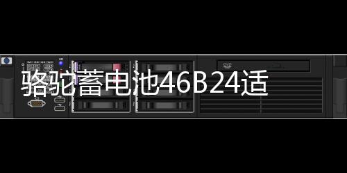 骆驼蓄电池46B24适配于起亚K2现代瑞纳瑞奕 45ah汽车电瓶以旧换新下载