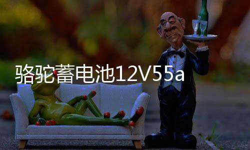 骆驼蓄电池12V55ah汽车电瓶适配宝骏730别克凯越乐风景程85550下载
