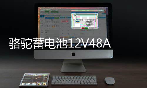 骆驼蓄电池12V48AH适配五菱荣光之光北汽58500低温强劲汽车电瓶下载