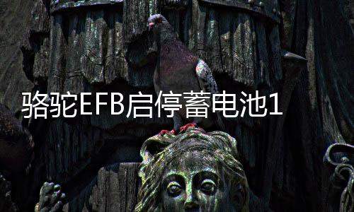 骆驼EFB启停蓄电池12V70AH奥迪Q3A3高尔夫7领动英朗途观L汽车电瓶下载