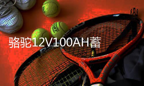 骆驼12V100AH蓄电池货车三轮拖拉机柴油车发电机低温强劲汽车电瓶下载