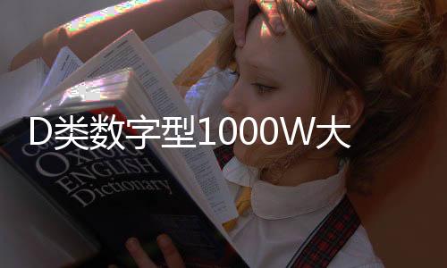 D类数字型1000W大功率发烧级超重纯低音无源双音圈低音炮功放下载