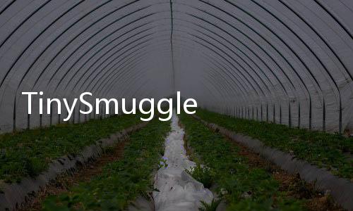 TinySmugglerRemake手机游戏下载