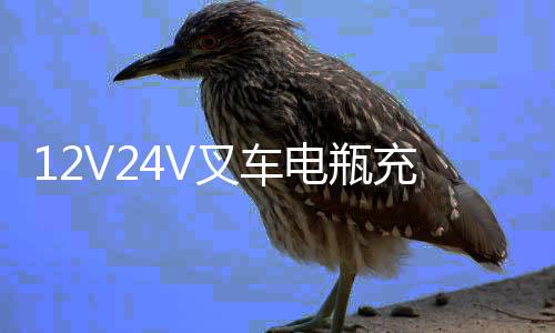 12V24V叉车电瓶充电器大货车卡车汽车摩托充电器纯铜智能通用充电下载