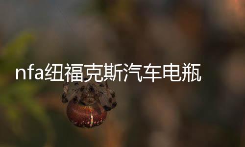 nfa纽福克斯汽车电瓶充电器车用12V伏agm启停蓄电池大功率冲电机下载